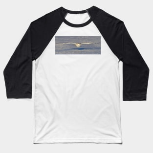 Snowy Owl Baseball T-Shirt